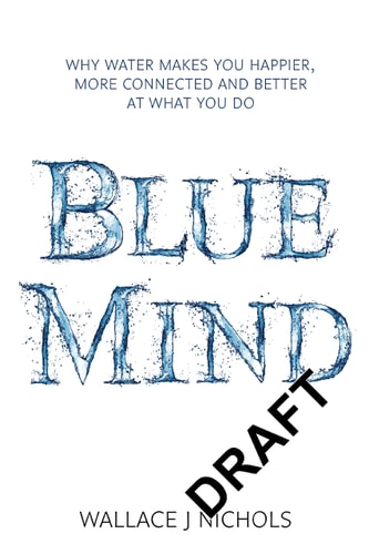 Blue Mind How Water Makes You Happier, More Connected and Better at What You Do