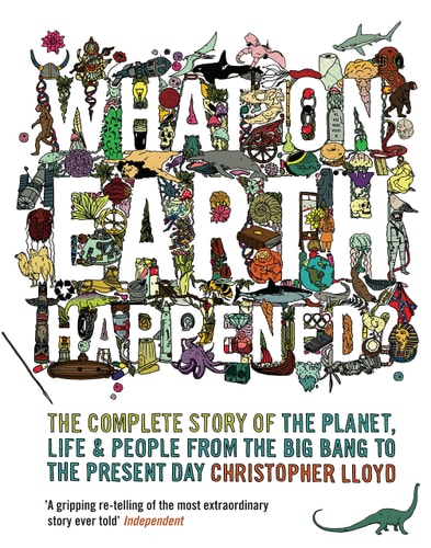 What on Earth Happened? The Complete Story of the Planet, Life and People from the Big Bang to the Present Day