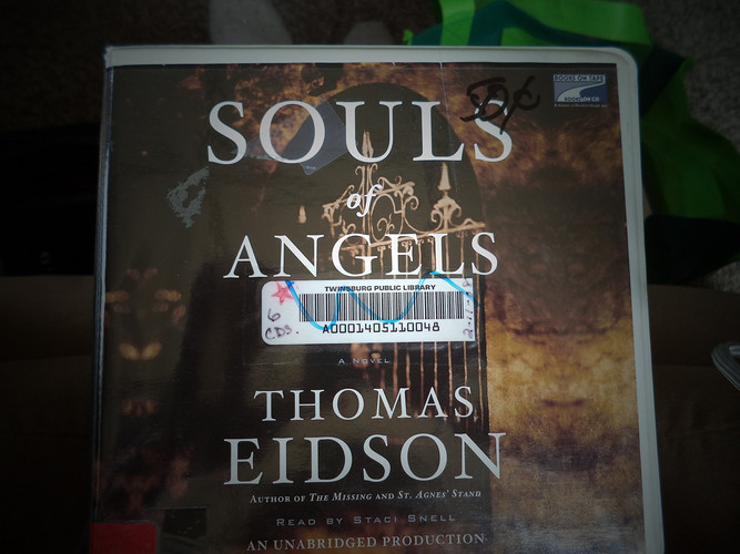 Souls of Angels: A Novel