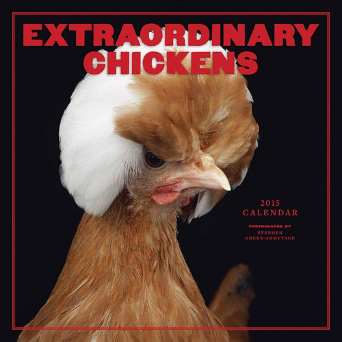 Extraordinary Chickens 2015 Wall Calendar
