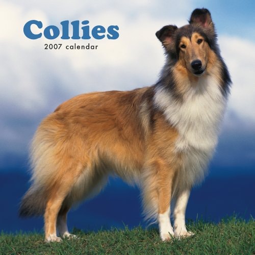 Collies 2007 Calendar