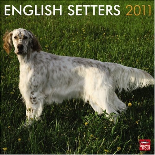 English Setters 2011 Calendar