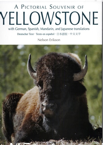 A Pictorial Souvenir of Yellowstone