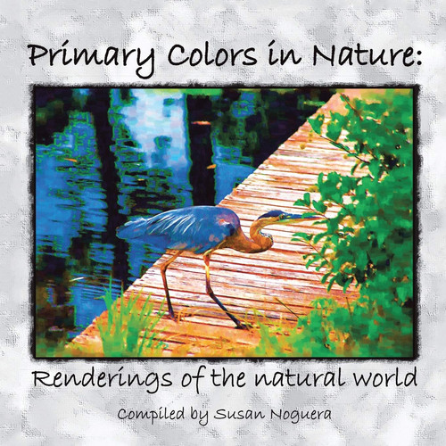 Primary Colors in Nature Renderings of the Natural World