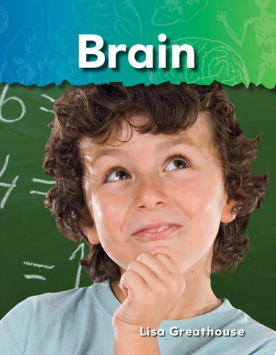 Brain 6-Pack