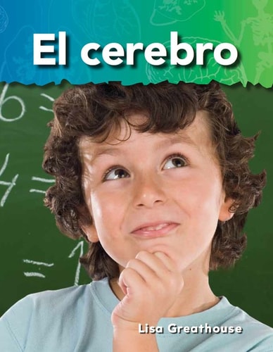 El cerebro (Brain)