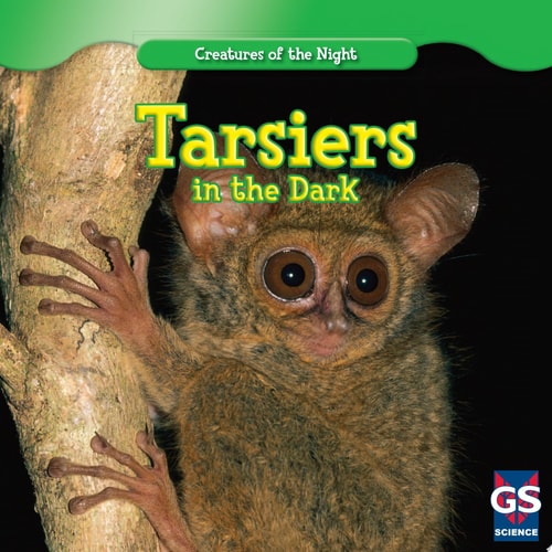 Tarsiers in the Dark