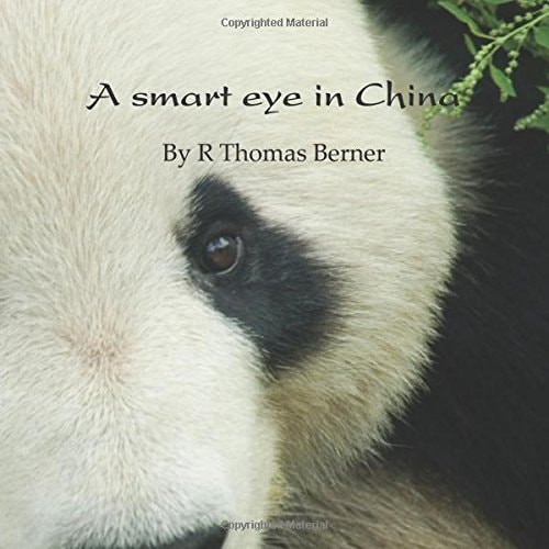 A Smart Eye in China