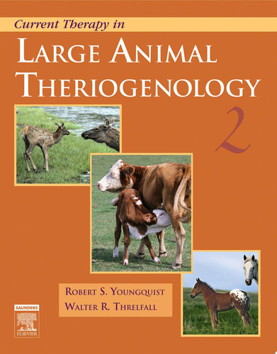 Current Therapy in Large Animal Theriogenology