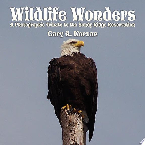 Wildlife Wonders A Photographic Tribute to the Sandy Ridge Reservation