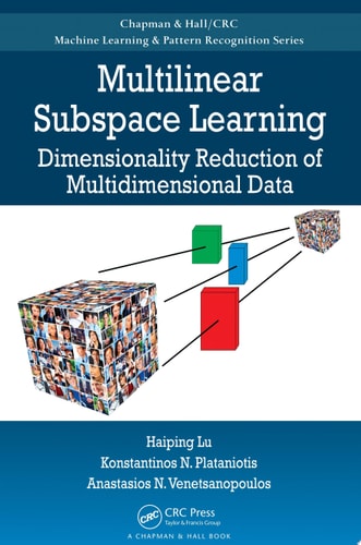 Multilinear Subspace Learning Dimensionality Reduction of Multidimensional Data