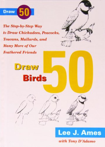 Draw 50 Birds