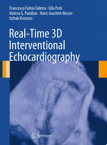 Real-Time 3D Interventional Echocardiography