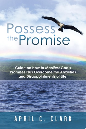 Possess the Promise Guide on How to Manifest God’S Promises Plus Overcome the Anxieties and Disappointments of Life.