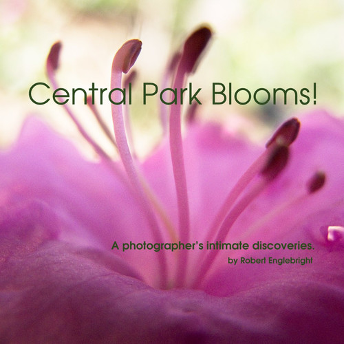 Central Park Blooms!