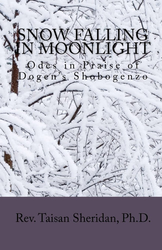 Snow Falling in Moonlight Odes of Praise to Dogen's Shobogenzo