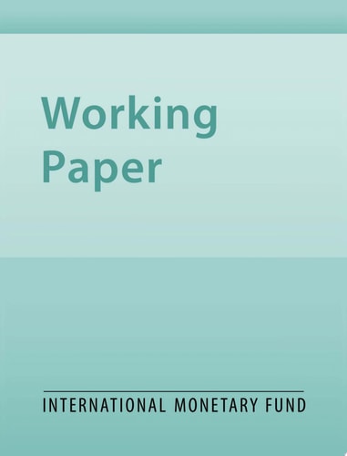 Monetary Policy Rules for Financially Vulnerable Economies