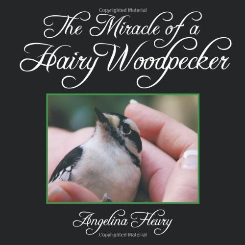 The Miracle of a Hairy Woodpecker