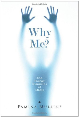 Why Me? The Energy Dynamics of Stress