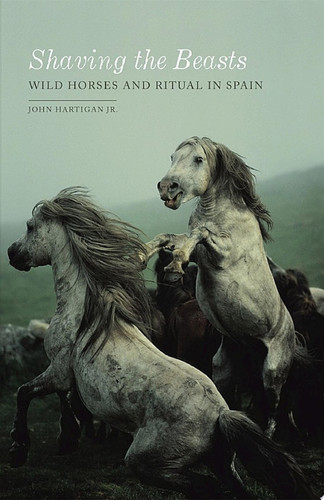 Shaving the Beasts Wild Horses and Ritual in Spain