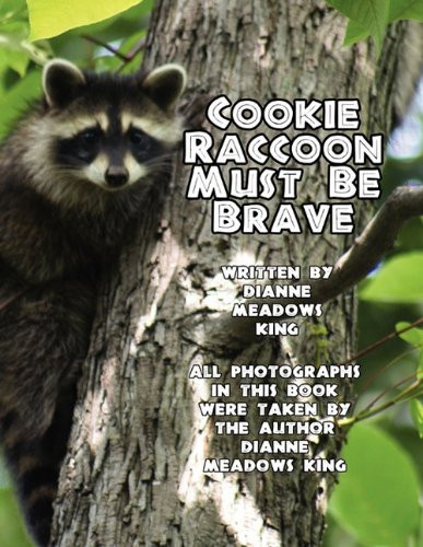 Cookie Raccoon Must Be Brave