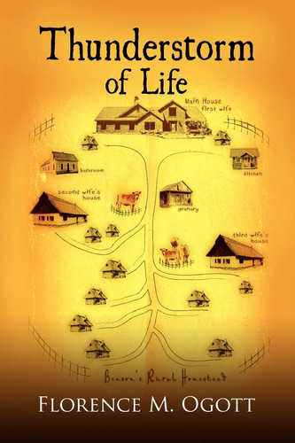 Thunderstorm of Life