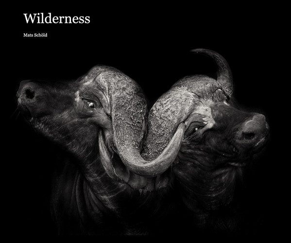 Wilderness