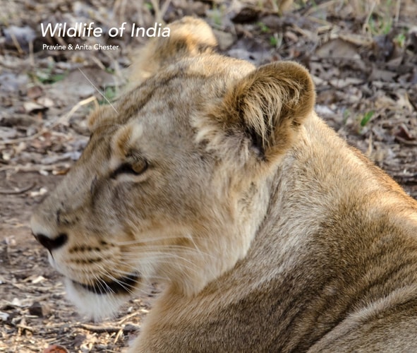 Wildlife of India
