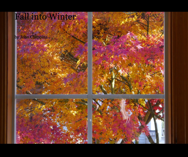 Fall Into Winter