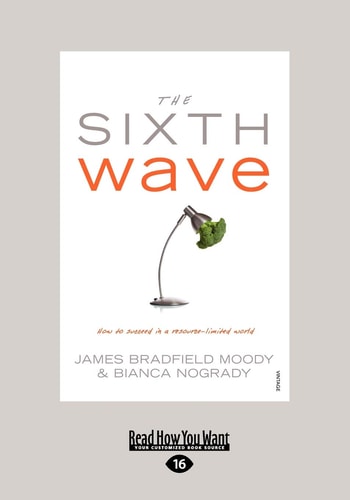 The Sixth Wave How to Succeed in a Resource-limited World