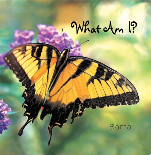What Am I?