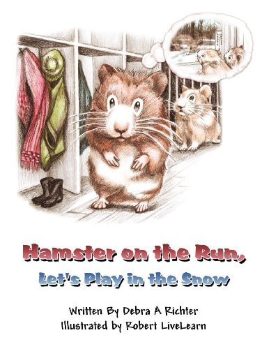 Hamster on the Run, Let's Play in the Snow
