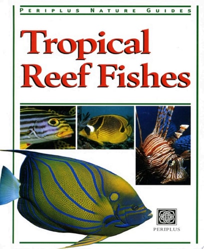 Tropical Reef Fishes