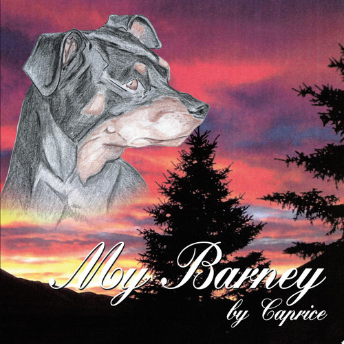 My Barney