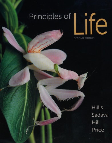 Principles of Life