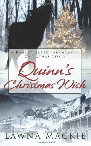 Quinn's Christmas Wish