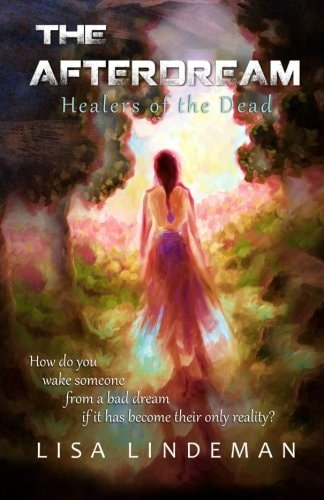The Afterdream Healers of the Dead - How Do You Wake Someone from a Bad Dream If It Has Become Their Only Reality?