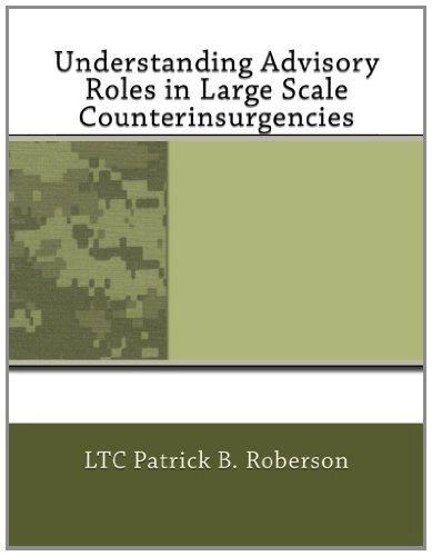 Understanding Advisory Roles in Large Scale Counterinsurgencies