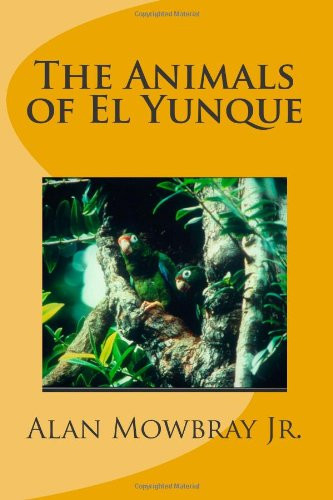 The Animals of El Yunque Fauna of a Caribbean Island Rainforest