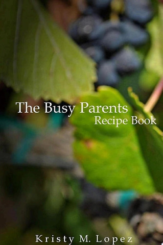 The Busy Parents Recipe Book