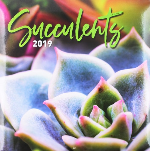 Succulents 2019 Calendar