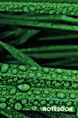 Green Leaves with Raindrops Notebook = 100 Ruled Pages
