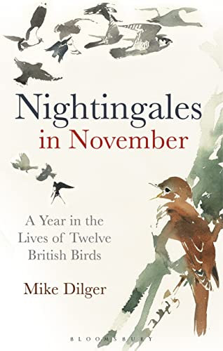Nightingales in November A Year in the Lives of Twelve British Birds
