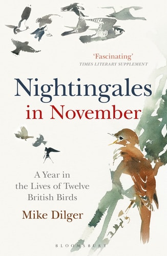 Nightingales in November A Year in the Lives of Twelve British Birds