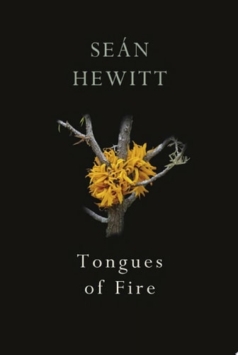 Tongues of Fire From the award-winning author of Open, Heaven