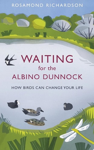 Waiting for the Albino Dunnock
