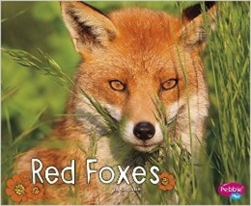 Woodland Wildlife Pack A of 3 (Pebble Plus: Woodland Wildlife)