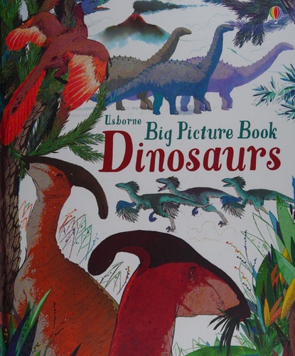 Big Picture Book Dinosaurs