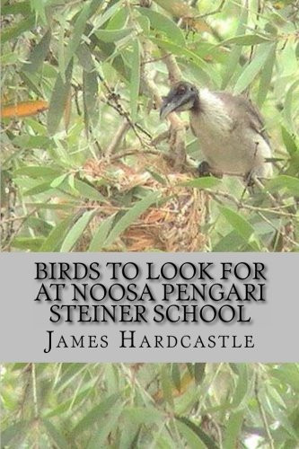 Birds of Noosa Pengari Steiner School
