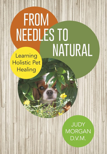 From Needles to Natural Learning Holistic Pet Healing